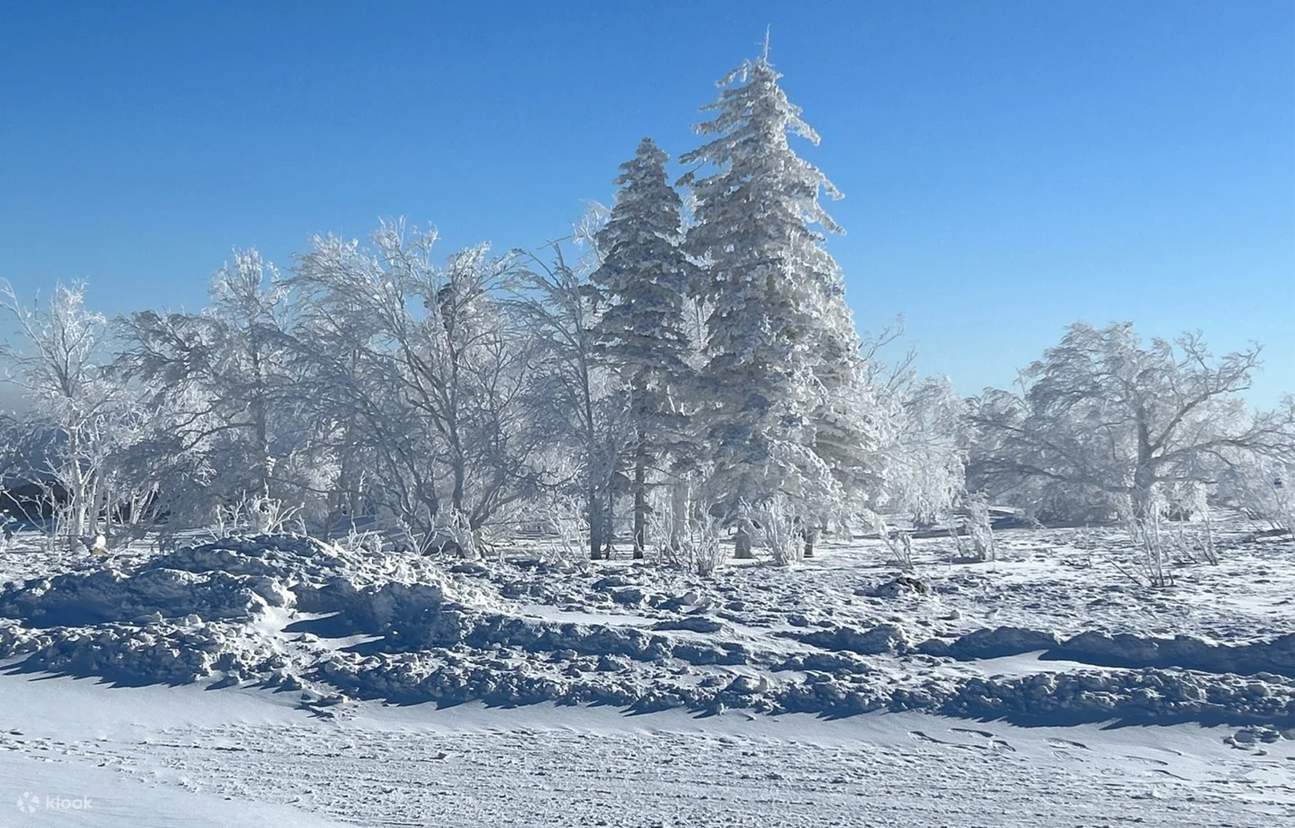 【冬季限定】ハルビン雪郷空撮3日間(雅ブリ+雪郷スキー+東北朝市へ行く+温泉入浴+スノーモービル+東北花ジャケット着用+短い空撮映像+氷に水を ...
